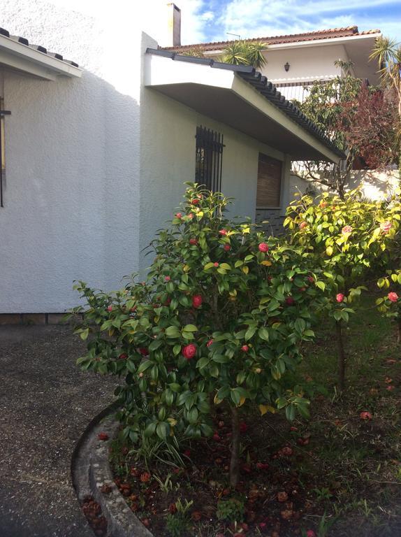 Casa Dos Oliva Vila Alcobaça Exterior foto